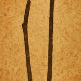 Two Sticks