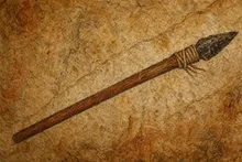 Look at the perfect new spear